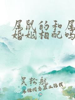 属鼠的和属猴的婚姻相配吗