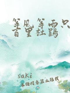 等风等雨只等你百里杜鹃