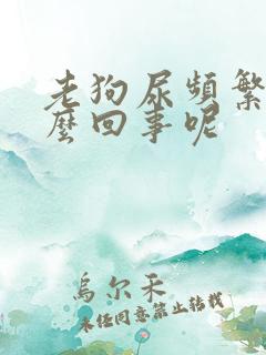 老狗尿频繁是怎么回事呢