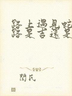 路上遇见蛇过马路是吉还是凶