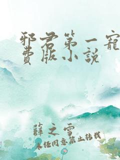 邪君第一宠妃免费版小说