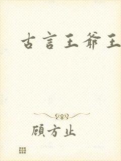 古言王爷王妃h