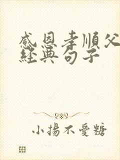 感恩孝顺父母的经典句子