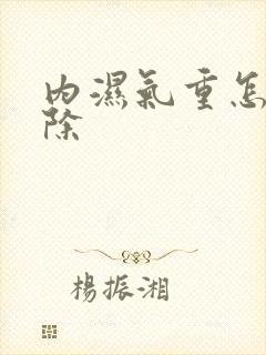 内湿气重怎么去除