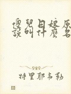 傻儿日娘原著小说叫什么名字