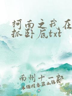 柯南之我在酒厂抓卧底txt