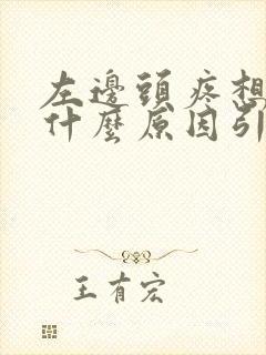 左边头疼想吐是什么原因引起的