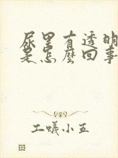 尿里有透明液体是怎么回事