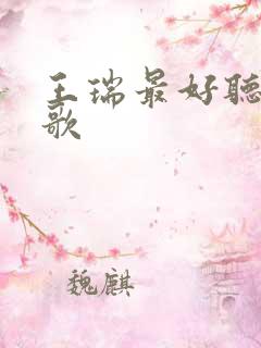 王瑞最好听十首歌