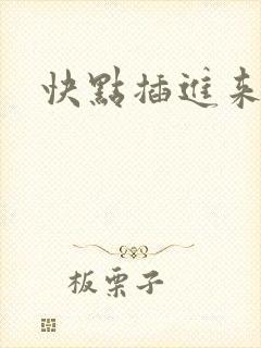 快点插进来小说