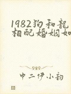 1982狗和龙相配婚姻如何