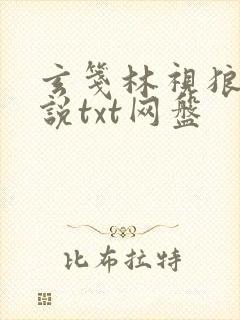 玄笺林视狼顾小说txt网盘