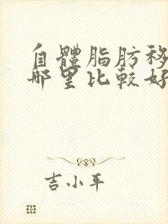 自体脂肪移植胸哪里比较好