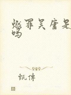 燃罪吴庸是坏人吗