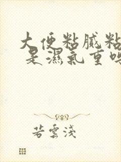 大便粘腻粘马桶 是湿气重吗