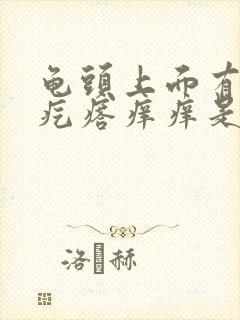 龟头上面有小红疙瘩痒痒是怎么回事