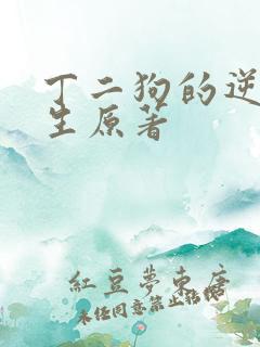 丁二狗的逆袭人生原著