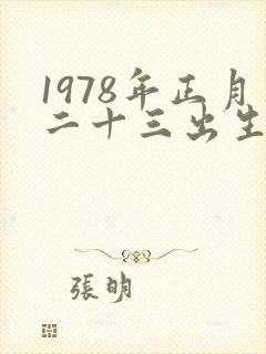 1978年正月二十三出生的命运