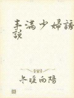 丰满少妇诱惑小说