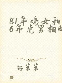 81年鸡女和86年虎男相配吗