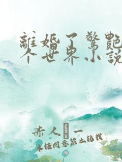 离婚了惊艳了整个世界小说