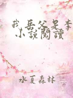 我岳父是李世民 小说阅读