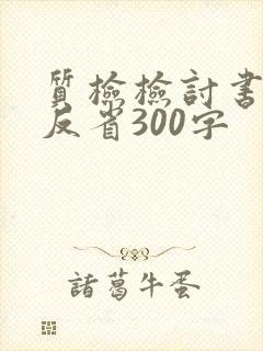 质检检讨书自我反省300字