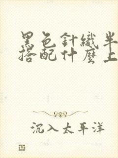 黑色针织半身裙搭配什么上衣好看