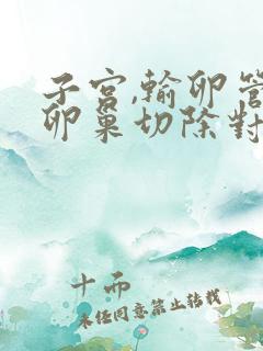 子宫,输卵管,卵巢切除对人体有什么影响