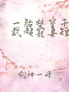 一胎双宝千亿总裁超宠妻短剧