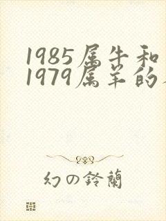 1985属牛和1979属羊的人合财吗