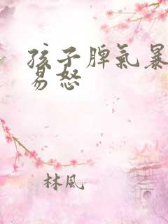 孩子脾气暴躁,易怒