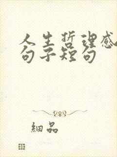 人生哲理感悟的句子短句