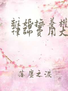 离婚抚养权起诉律师费用大概要多少