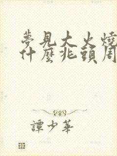 梦见大火烧山是什么兆头周公解梦