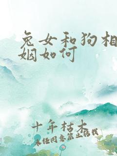 兔女和狗相配婚姻如何