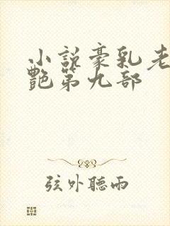 小说豪乳老师刘艳第九部