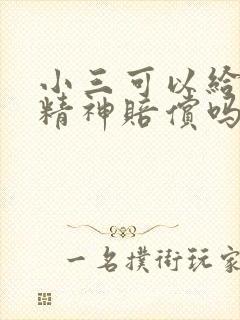 小三可以给原配精神赔偿吗