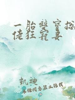 一胎双宝总裁大佬狂宠妻