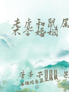 老虎和鼠属相合不合婚姻