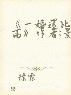 《一婚还比一婚高》作者:晨雾的光