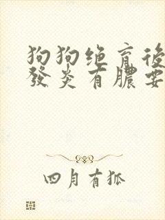 狗狗绝育后伤口发炎有脓要怎么办