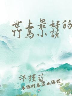 世上最好的青梅竹马小说