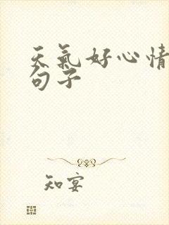 天气好心情好的句子