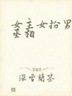 女主女扮男装是丞相