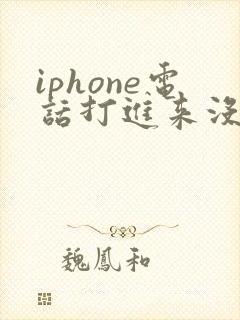 iphone电话打进来没有声音