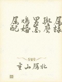 属鸡男与属龙女配婚怎么样