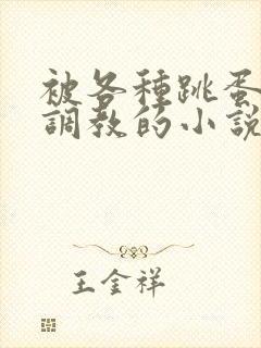 被各种跳蛋露出调教的小说