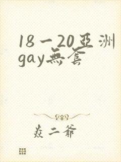 18一20亚洲gay无套