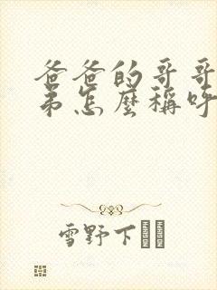 爸爸的哥哥和弟弟怎么称呼